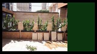 روف گاردن پروژه مسکونی اپال 1 شهرک قدس قم شرکت ال گرین