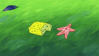 باب اسفنجی جدید