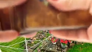 فال تاروت / تک تاروت امروز یکشنبه