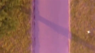 شاد باشید