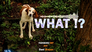 what!? - Fariborz MP feat Dani brayen