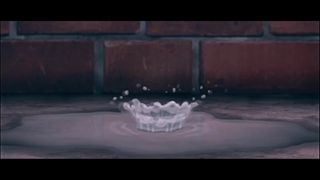 [the promised neverland [amv !!♡