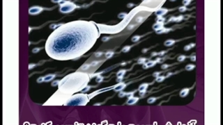 تفسیر آزمایش اسپرم