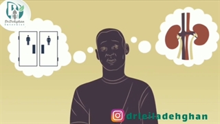 چگونه کلیه ها کار می کنند؟