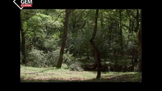 سریال کبوتر وباز قسمت 4