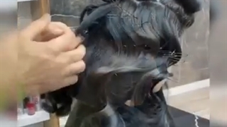 Top 10 Bridal Hairstyles Tutorials Compilation | Most Beautiful Wedding Hair Transformations