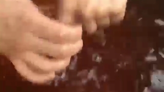 مراحل ساخت واکسن امام حسین (ع)