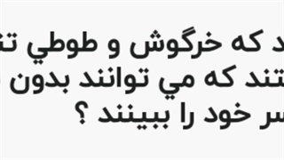 دانستنی دوستان این متن برای من جالب بود لطفا در نظر ها بگویید که این متن را می دانستید و همین طور بگویید متن جالب بود؟
