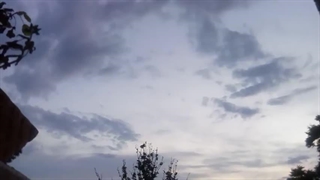 فیلمبردار-حسام الدین شفیعیان