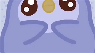 برید کنار امروز تولد کای هستتتتتتتت!