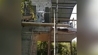 سیمانکاری روی داربست