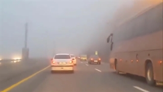 نمیدانستیم کرونا چه بلایی برسرمان خواهد آورد