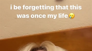 استورری جدید بیلی کیوت ایلیش