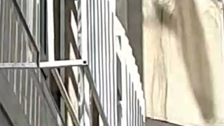 حفاظ پنجره ساختمان