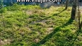 اقامتگاه بومگردی شهاب میانده در گیلان