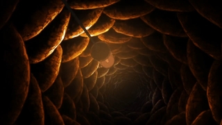 انیمه Fumetsu no Anata e قسمت 18 با زیرنویس فارسی