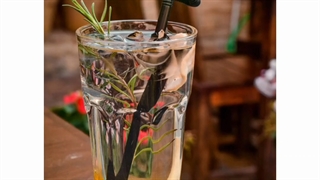 نوش داروی شگفت انگیز: سکنجبین