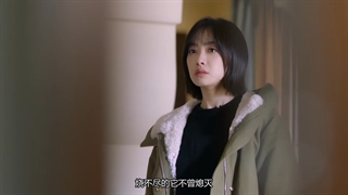 قسمت 42 (آخر) سریال چینی دلال با زیرنویس فارسی Broker 2021