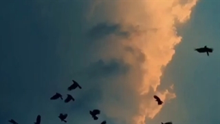 ☻︎☹︎♡︎❣︎❥︎