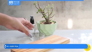 طرز تهیه سرم برای برای پوست معمولی