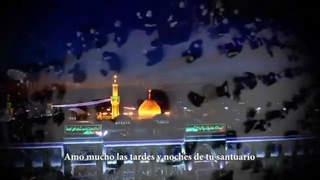 کلیپ دور از تو با این که ضرر کردم | محمد حسین پویانفر