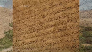 محلی شهرگوجان دهچشمه