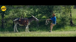 تیزر فیلم «الاغ من، عاشق من و من، My Donkey, My Lover and I»