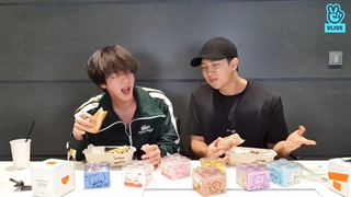 ویلایو نامجون و جین ( زیرنویس فارسی آنلاین) BTS RM & Jin vlive