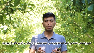 نگهداری عسل