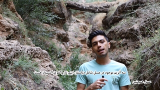 ترکیبات عسل