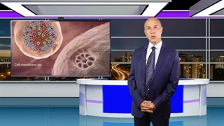 ایستادن در برابر کرونا