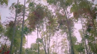 قسمت بیست و دوم سریال چینی سرنوشت مار سفید - The Destiny of White Snake 2018