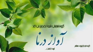 گزیده ای از اپیزود هشتم نمایشنامه صوتی آواز درنا