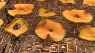 میوه خشک کن