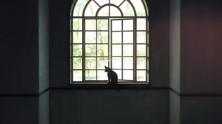 جوجتسو کایزن قسمت 14