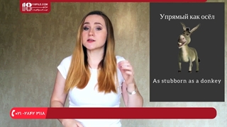 آموزش زبان روسی- آموزش تصویری زبان روسی-پنج مقایسه در