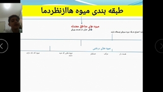 شهر پرجمعیت میوه ها
