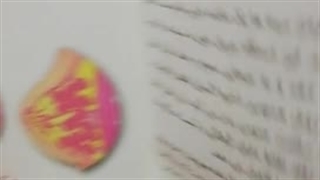 وکیوم سینه دو کاپ بانوان درجه یک مدل Rad