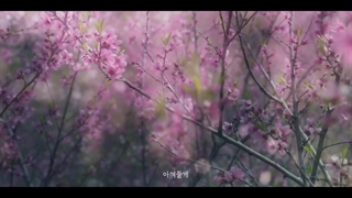 تیزر اول سریال کره ای عاشقان آسمان سرخ (Lovers of the red sky 2021 )