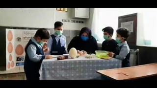 مرواریدهای جادویی