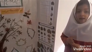 گوشواره های سبز