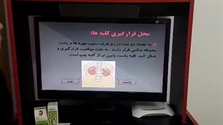 لوبیای تصفیه شده