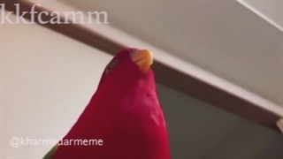 #زود قضاوت نکنید