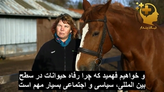 رفتار و رفاه حیوانات