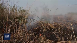 تالاب انزلی؛ آتش می‌زنند، بعد تصرف می‌کنند