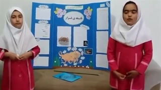 نابغه فرّار