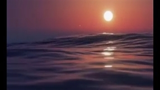 Just enjoy~~~~