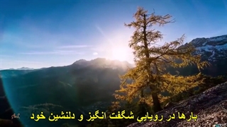 دکلمه خاطره انگیز از رادیو آبادان