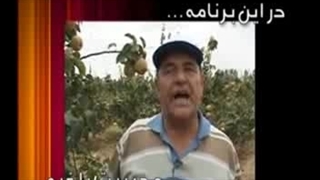 مدیریت باغ به