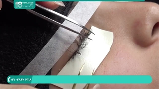 آموزش لیفت و لمینت مژه-آموزش لیفتینگ مژه-روش هیبریدی اکستنشن مژه